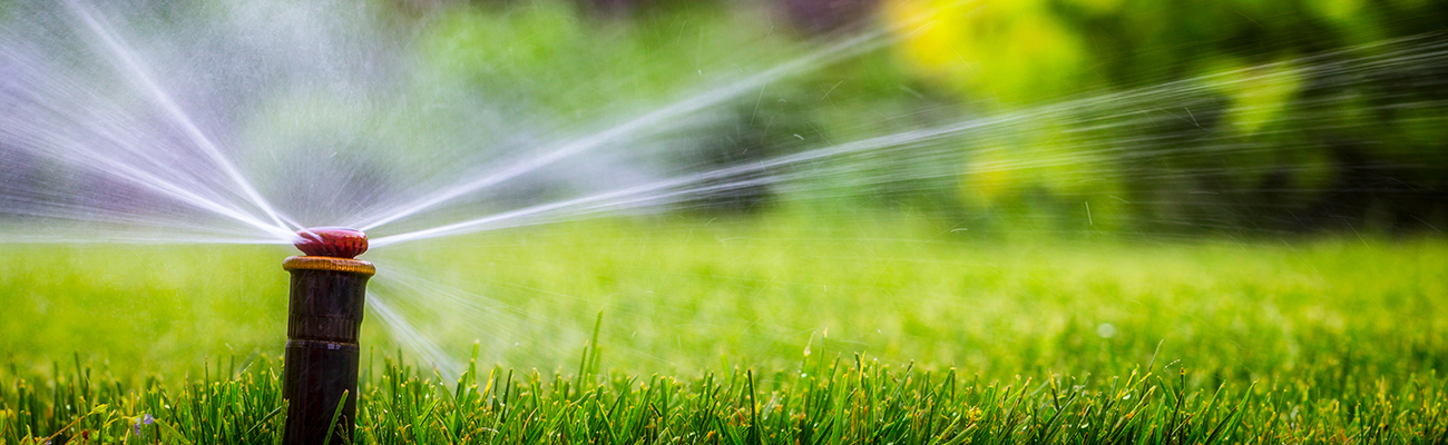 Why Irrigation Is the Secret to a Healthy, Beautiful Florida Lawn