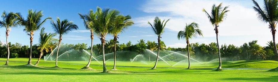 Sarasota and Siesta Key Landscape Irrigation