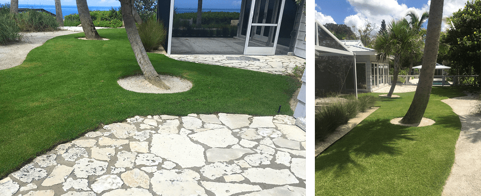 Zoysia Grass for a Golf Course perfect lawn