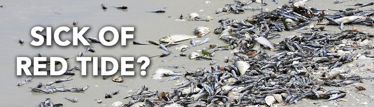 Sick of red tide?  Help us do something about it!