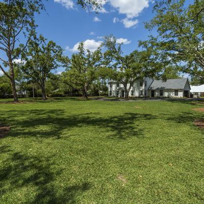Gator Creek 33
