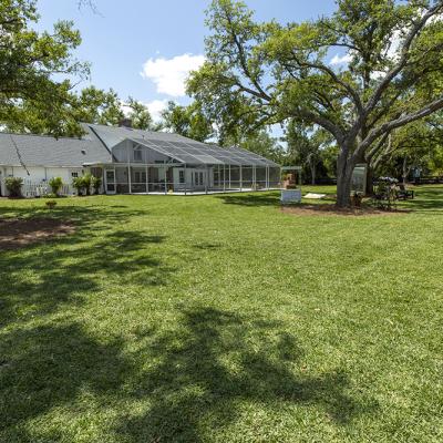 Gator Creek 35