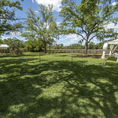 Gator Creek 37