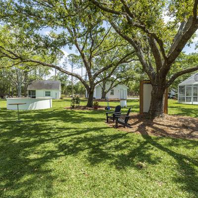 Gator Creek 40