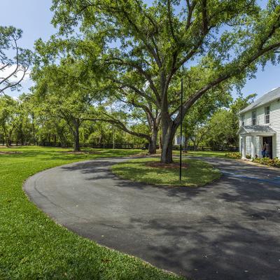 Gator Creek 42
