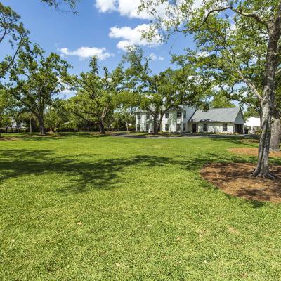 Gator Creek 45