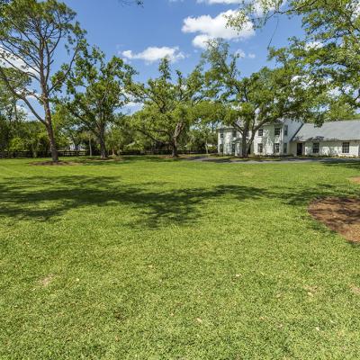 Gator Creek 47