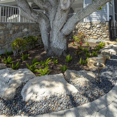Higel Ave11