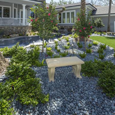 Higel Ave20